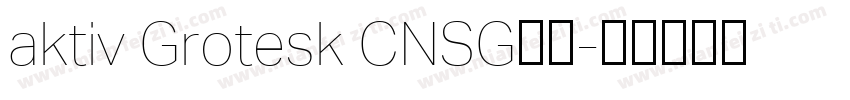 aktiv Grotesk CNSG字体字体转换